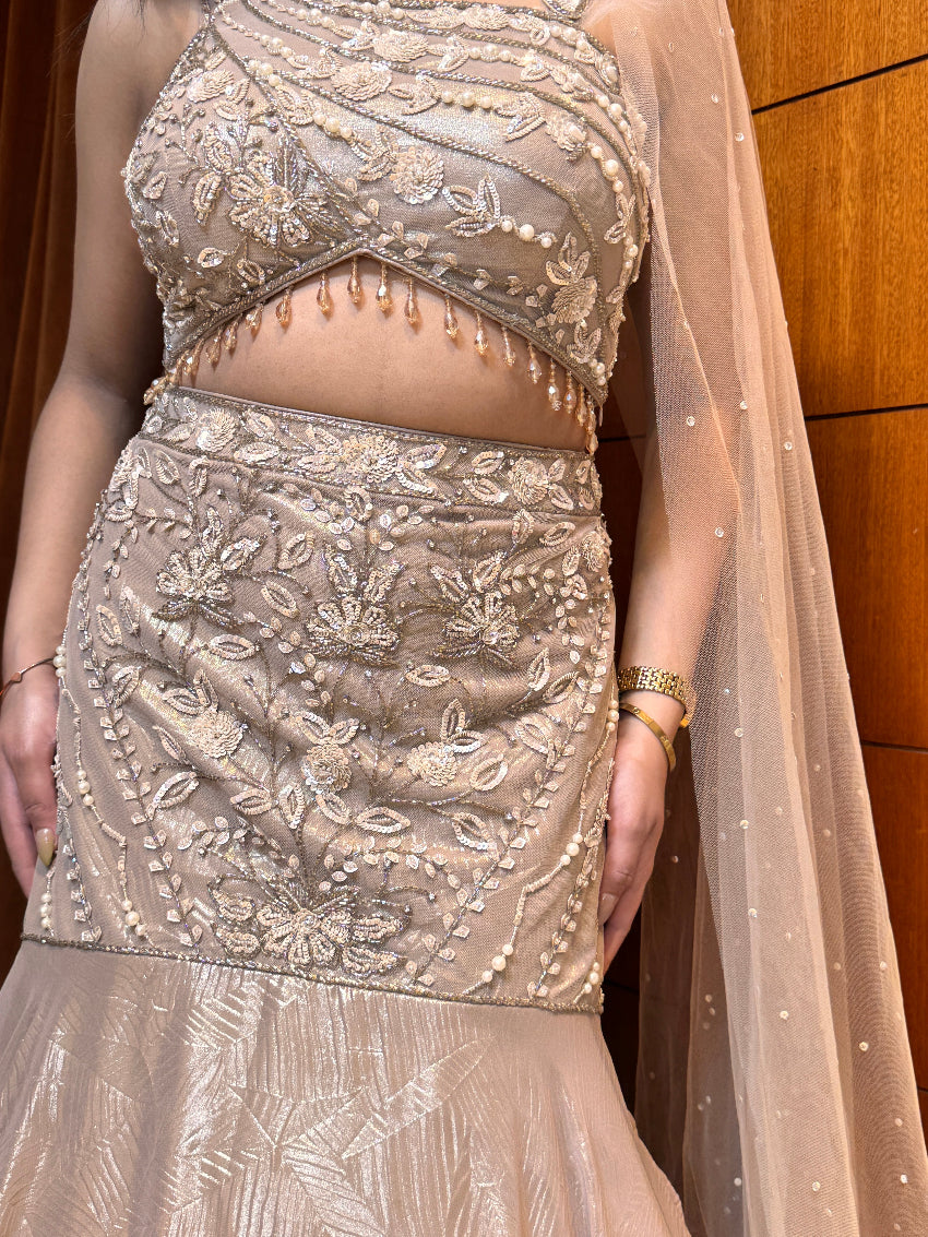 Close-up of a person wearing a beige embroidered saree with a wooden panel background