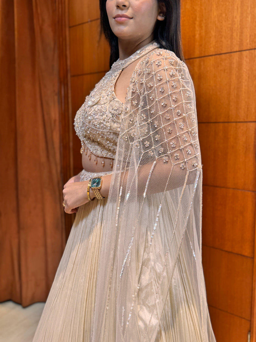Woman wearing a beige saree with intricate detailing against a wooden panel background