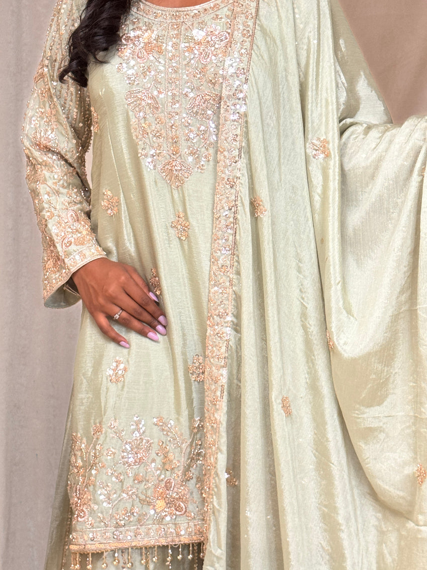 Light green embroidered traditional outfit with a plain background