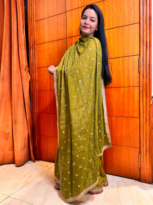 Woman wearing a green saree with a wooden panel background