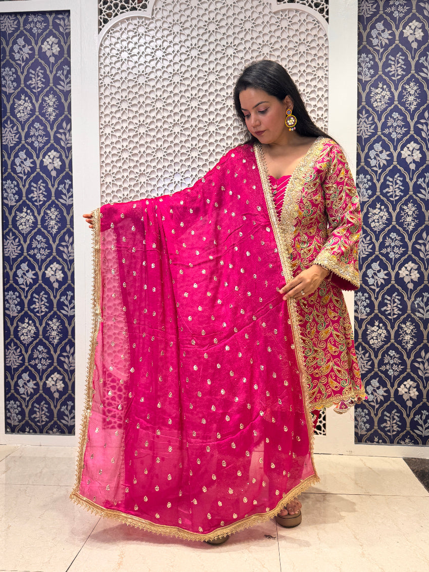 Woman holding a pink saree with a floral blouse against a decorative wall.