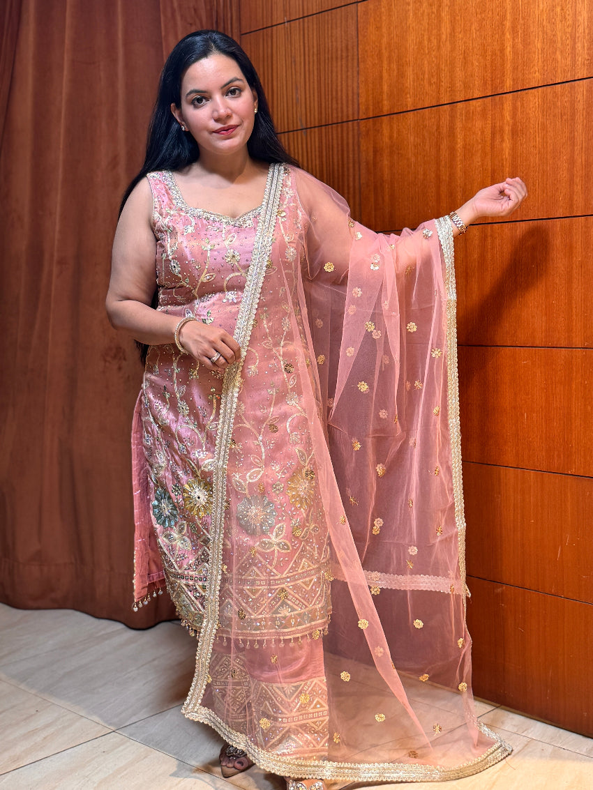 Woman wearing a traditional pink embroidered outfit with a sheer dupatta against a wooden panel background