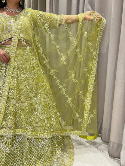 Parrot Green Net Lehanga With Intricate Embroidery ,Mirror And Stone Work