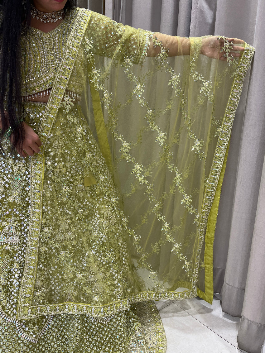 Parrot Green Net Lehanga With Intricate Embroidery ,Mirror And Stone Work