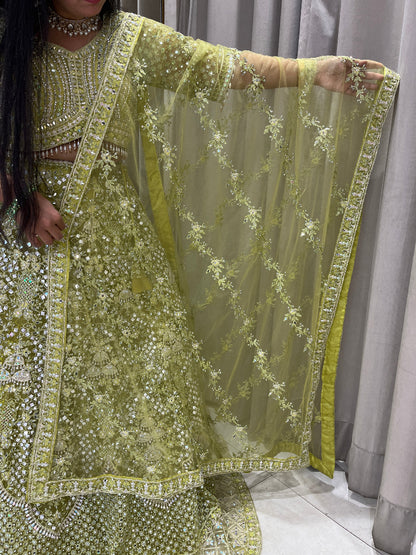 Parrot Green Net Lehanga With Intricate Embroidery ,Mirror And Stone Work